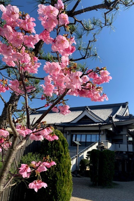 平安大教会詳細